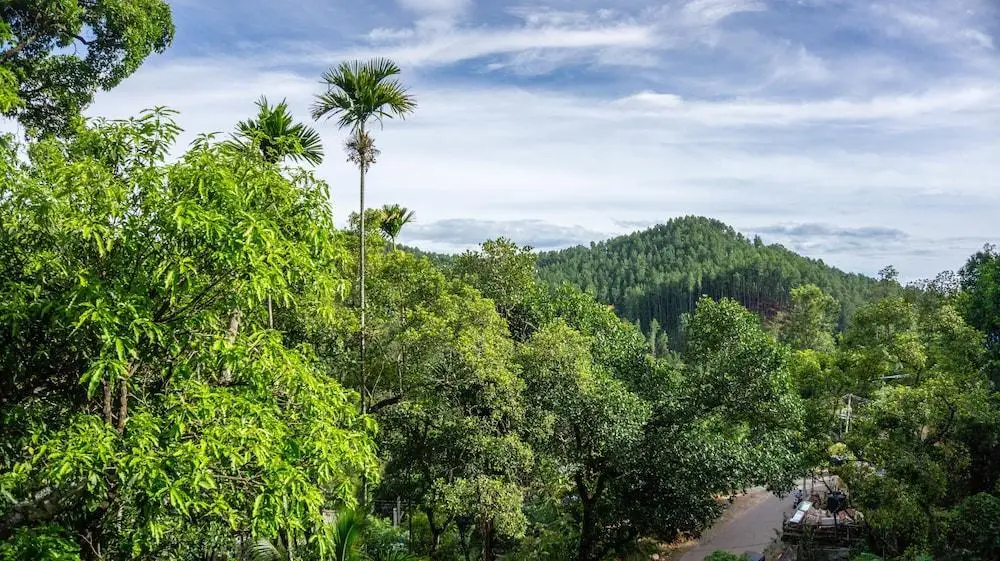 Элла: Samadhi Nature Resort Ella