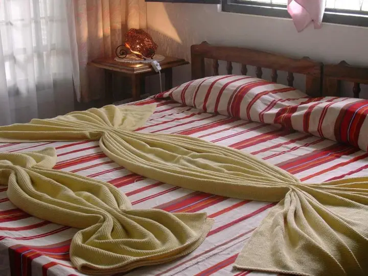 Негомбо: The Icebear Guesthouse