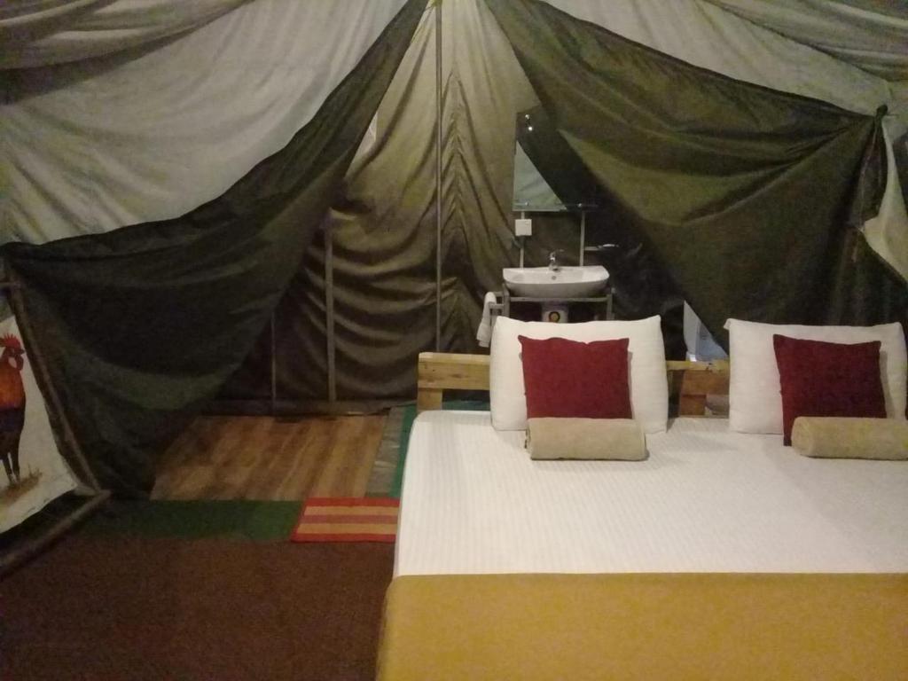 Элла: Ella Glamping