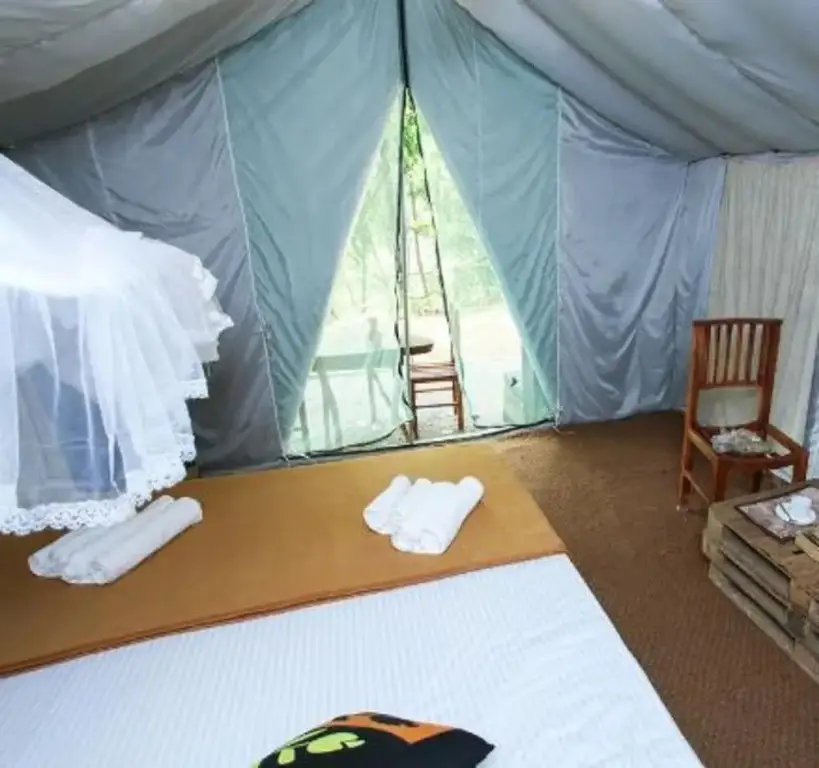 Элла: Ella Glamping