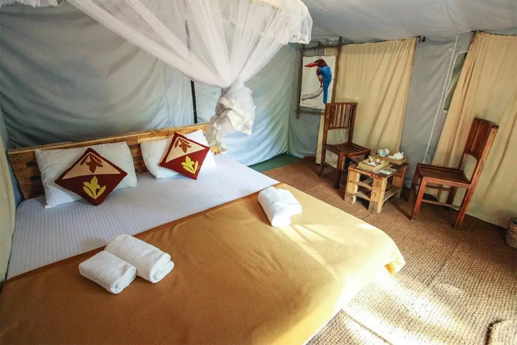 Элла: Ella Glamping