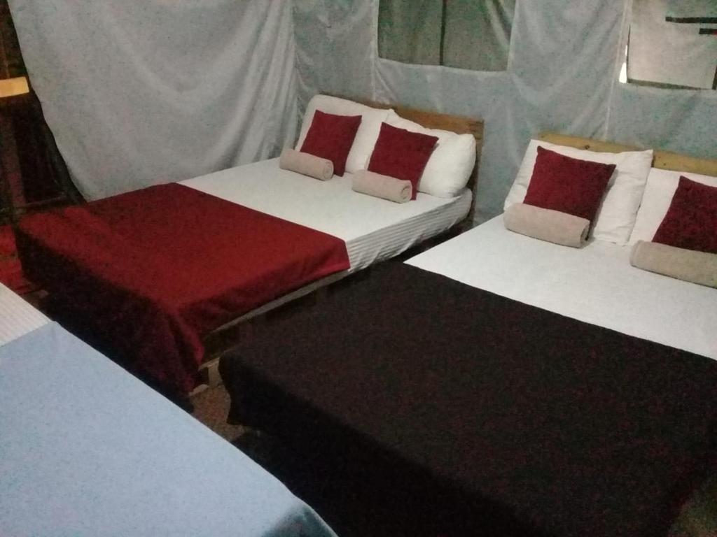 Элла: Ella Glamping