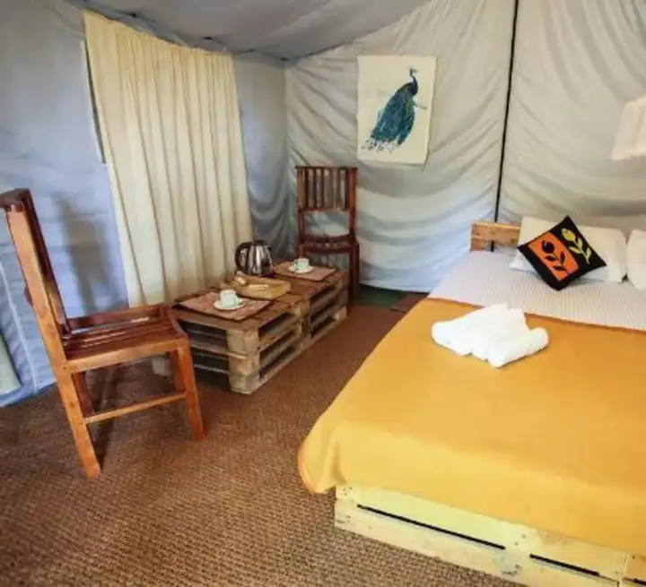Элла: Ella Glamping