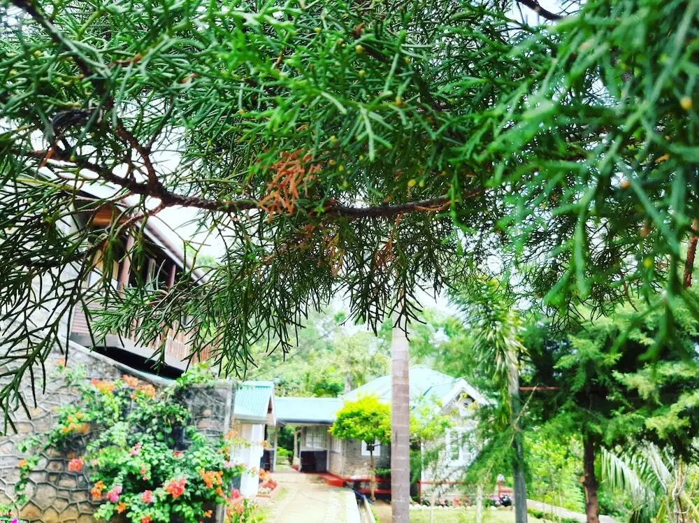 Берагала: Kallycave Eco Lodge