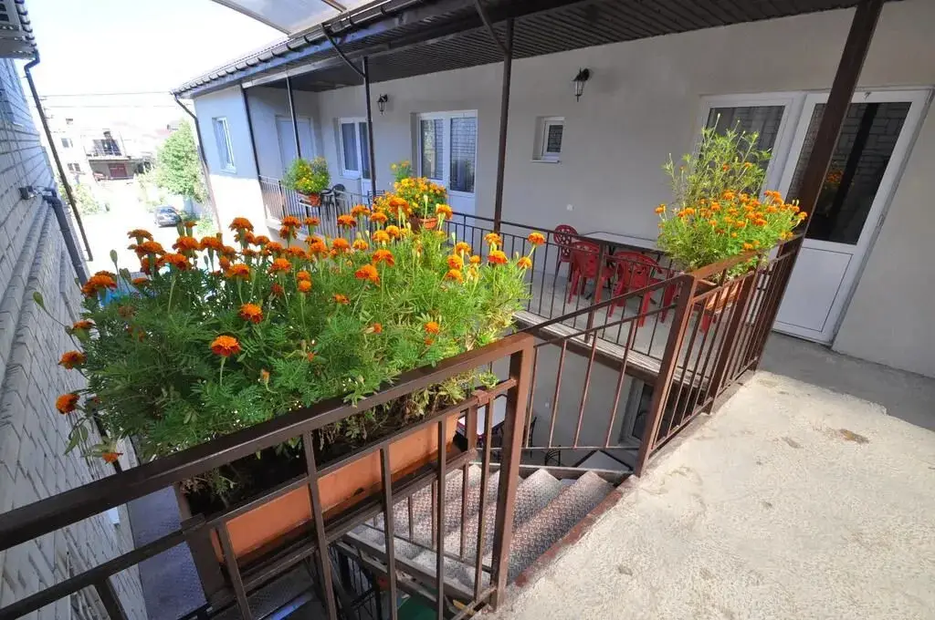 Анапа: Aleksandra Guest House
