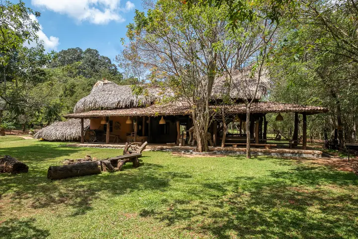 Хамбегамува: Banyan Camp