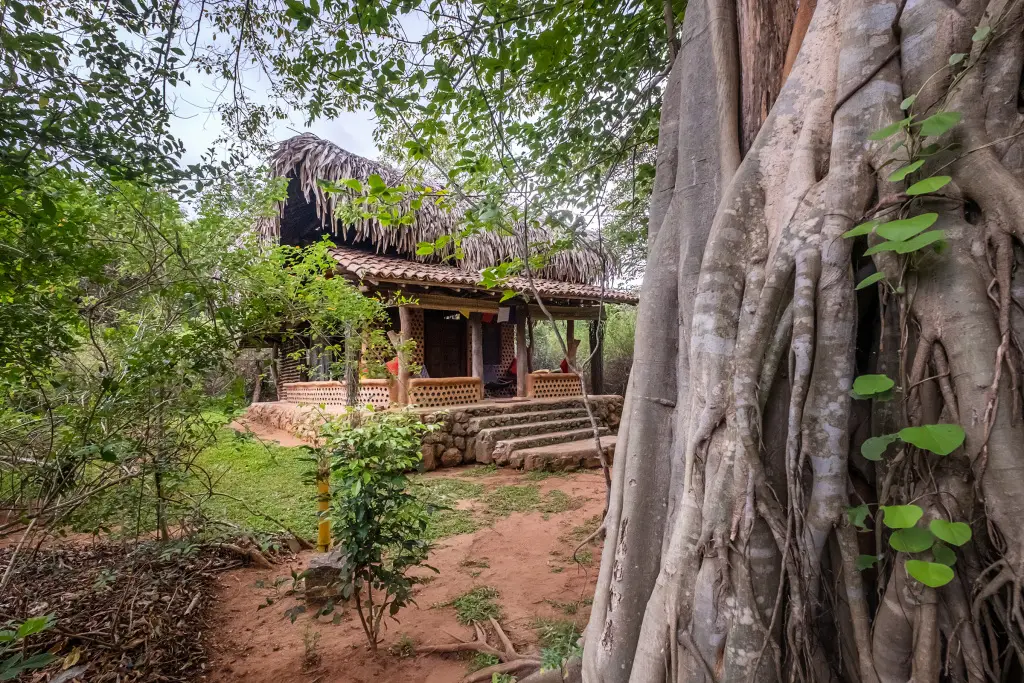 Хамбегамува: Banyan Camp