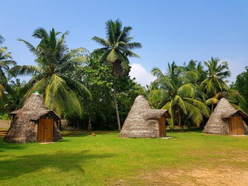 Унаватуна: Camp Kush by Hostel Unawatuna