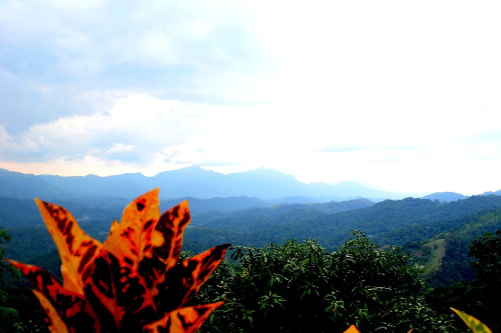 Элкадува: Green View Holiday Resort