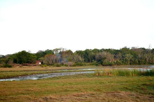 Ангунаколапелесса: Wewlekam Safari Resort