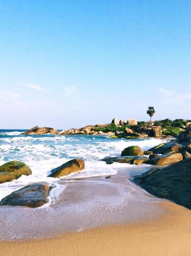 Аругам-Бэй: Starfish Beach Bungalows