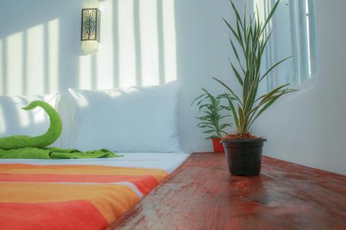 Оваканда: Honey Beach Inn Pitiwella