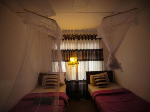 Элла: My Hostel