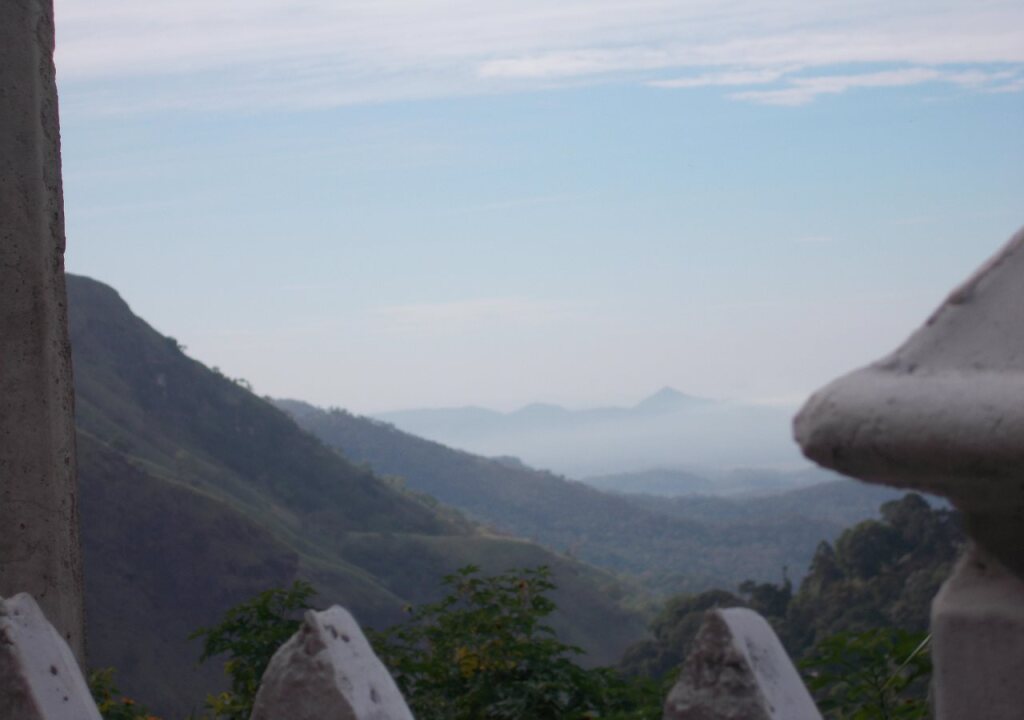 Элла: Ella Paddy Field View Guest Inn