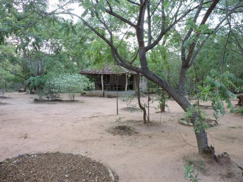 Катарагама: Sunil's Jungle Bungalow