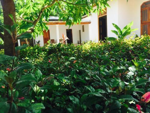 Анурадхапура: Disna Homestay