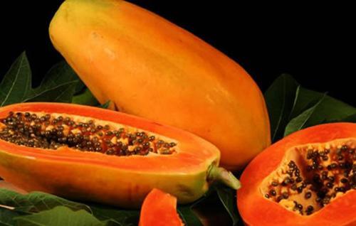 Тринкомали: Pearl House @ Trincomalee
