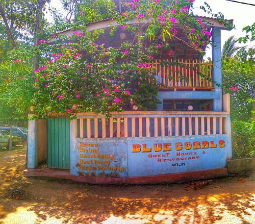 Валгама: Blue Corals Beach Bungalow
