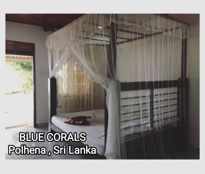 Валгама: Blue Corals Beach Bungalow