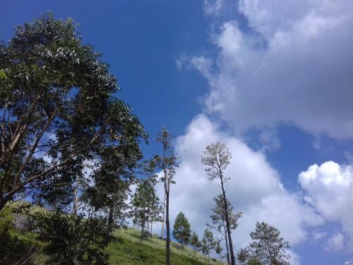 Элкадува: Upul homestay