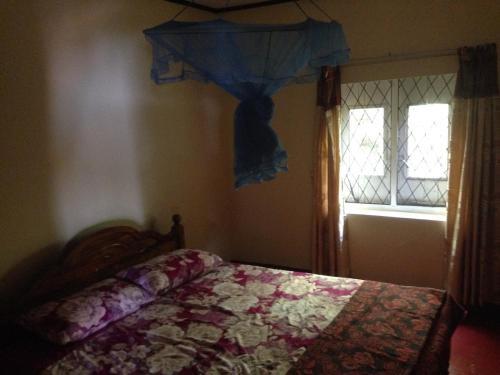Амбевелла: homestay haputhale