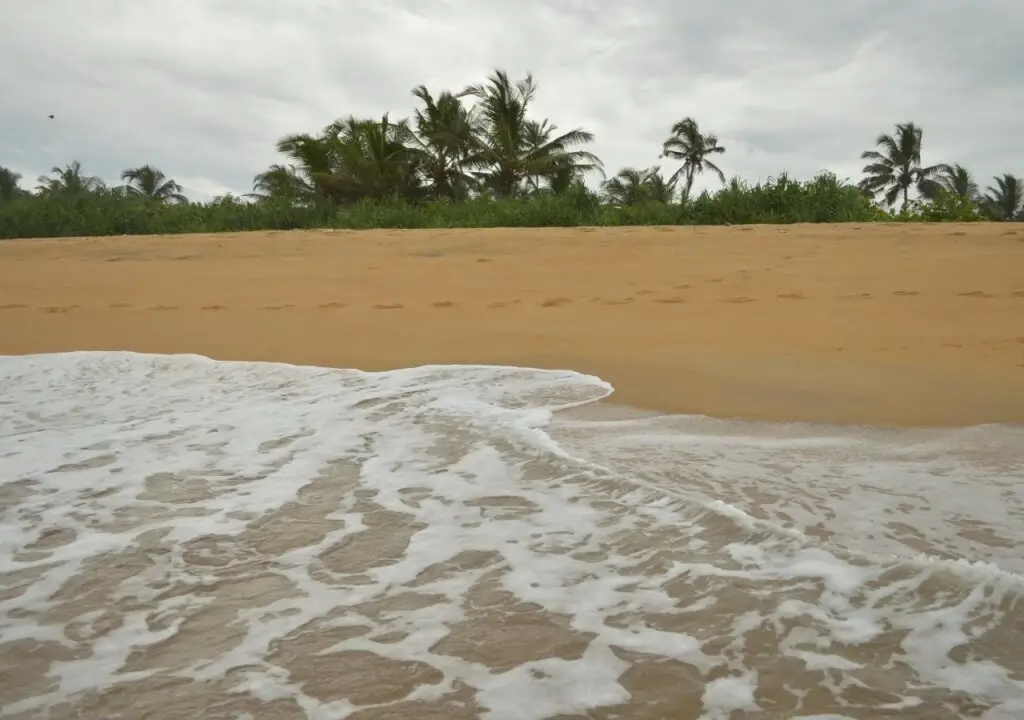 Панадура: Wild Sands Beach Villa