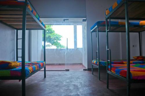 Галле: dream lanka surf hostel