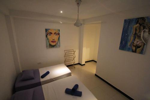 Галле: dream lanka surf hostel