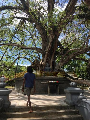 Хинатигала Джанкшен: Unawatuna Hideaway Hostel