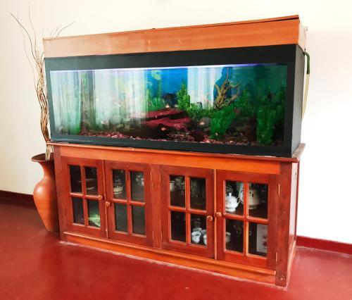 Хиккадува: Hikka City Hostel
