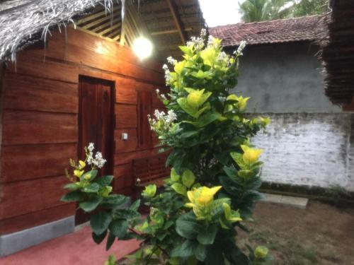 Аругам-Бэй: Lemon Tree Hostel