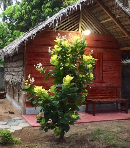 Аругам-Бэй: Lemon Tree Hostel