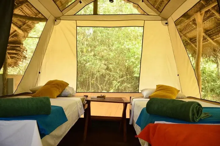 Кала Оя: Palpatha Eco Safari Lodge