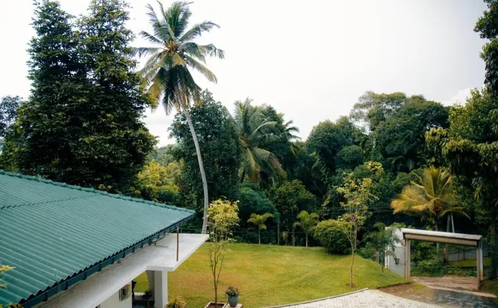 Канди: Thomasz Lodge