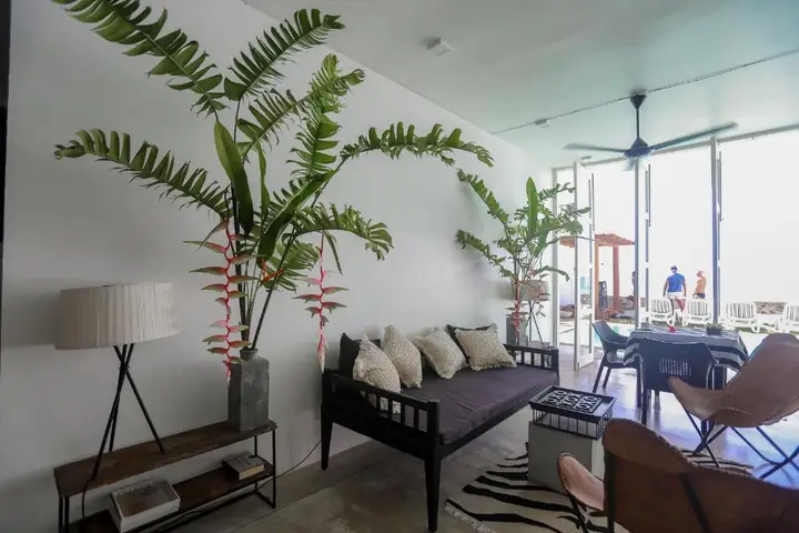 Хабарадува: Bieshu Beach Hive