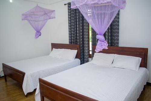 Полоннарува: Singha Guest House