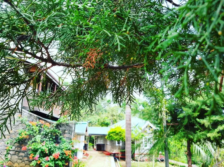 Берагала: Kallycave Eco Lodge