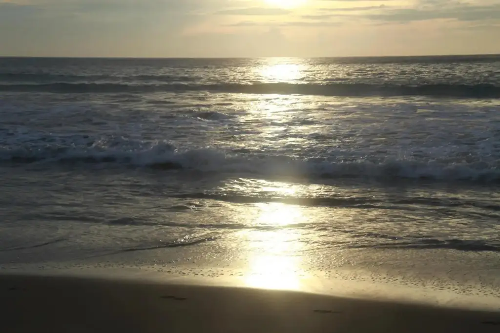 Диквелла: Serene Beach Hotel