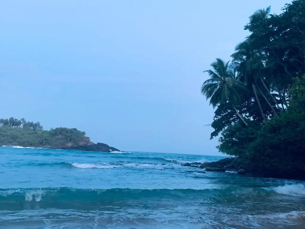 Диквелла: Surf Villa Hiriketiya