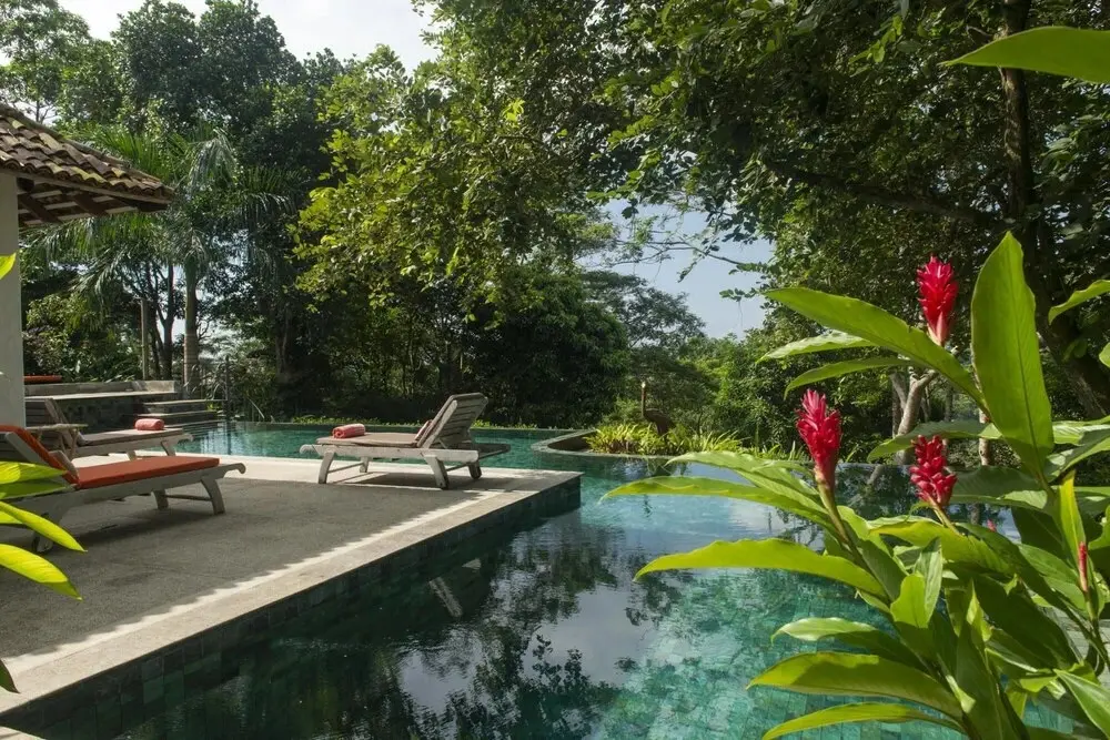 Тальпе: 08 Acre Private Tea Estate Close To Galle