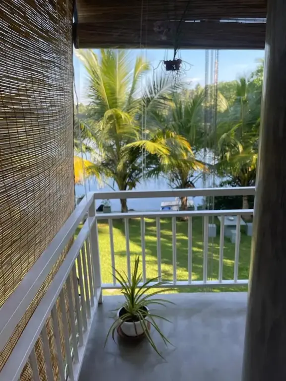 Галле: Morning Guest can see Momkeyies and Birds