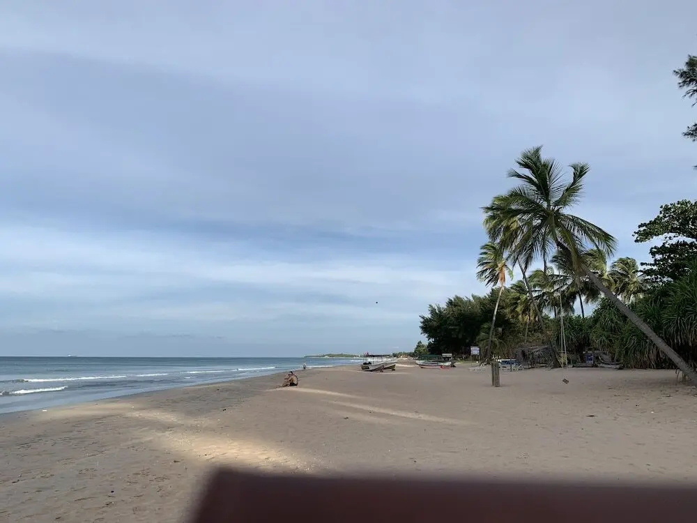 Нилавели: Palm view inn-Nilaveli
