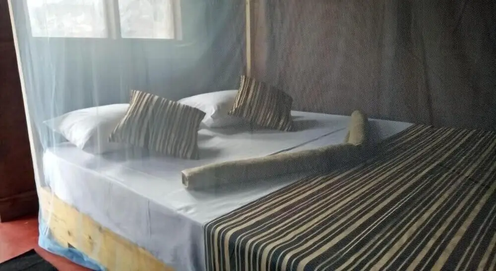 Тринкомали: Dolphin Bay Cabana Resort