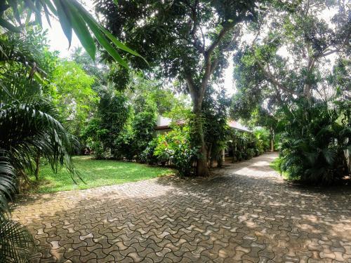 Тиссамахарама: Yala Southern Homestay