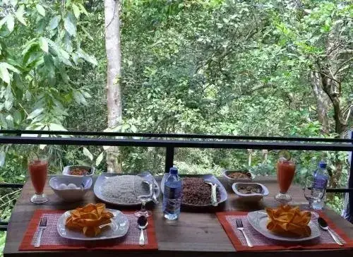 Палегама: Sinharaja Kurulu Ella Eco Resort