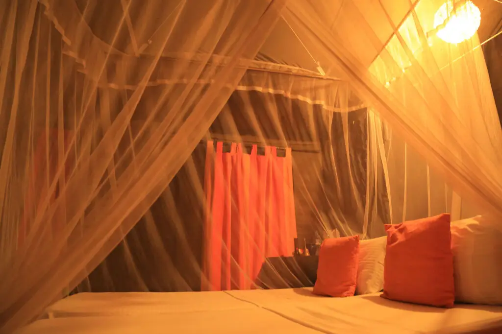 Анурадхапура: Mahoora Tented Safari Camp - Wilpattu