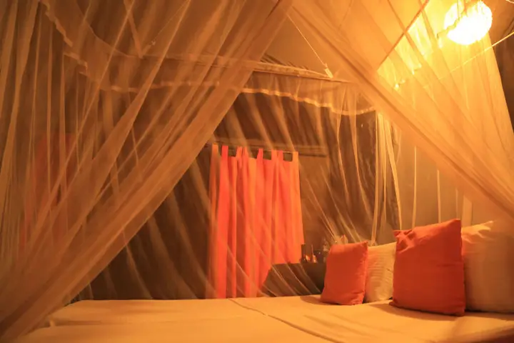 Анурадхапура: Mahoora Tented Safari Camp - Wilpattu