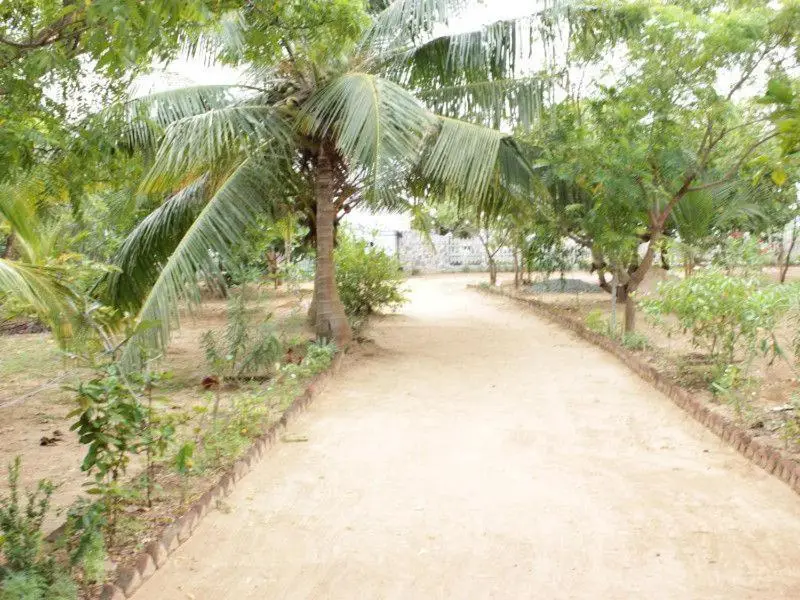 Киринда: Yala beach resort