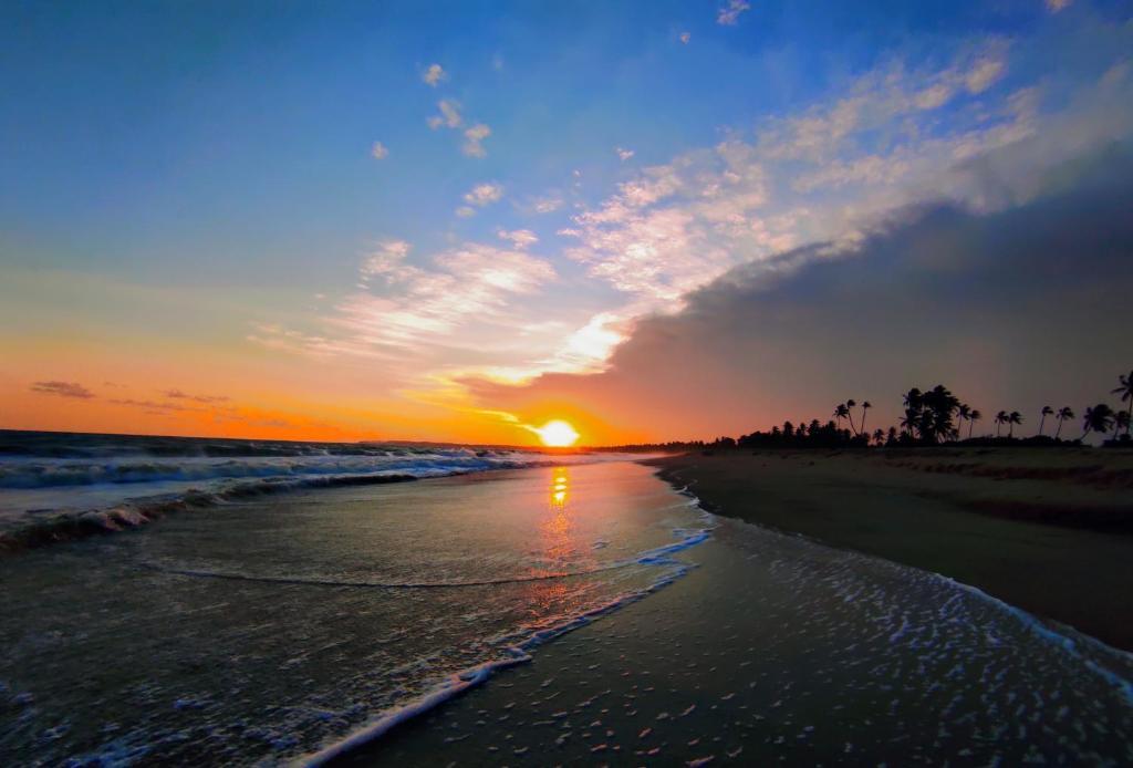 Ранна: Sleeping Elephant Beach Resort