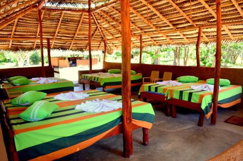 Палатупана: Rivosen Camp Yala Safari